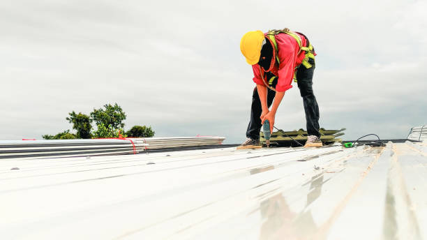 Best Roof Ventilation Installation  in Olmos Park, TX