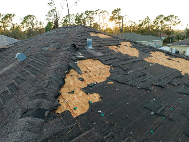 Best Gutter Installation and Repair  in Olmos Park, TX